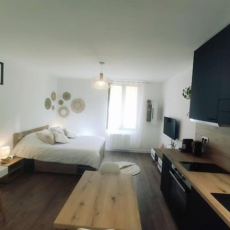 Annecy Vieille Ville, Superbe Appartement Au Calme Buitenkant foto