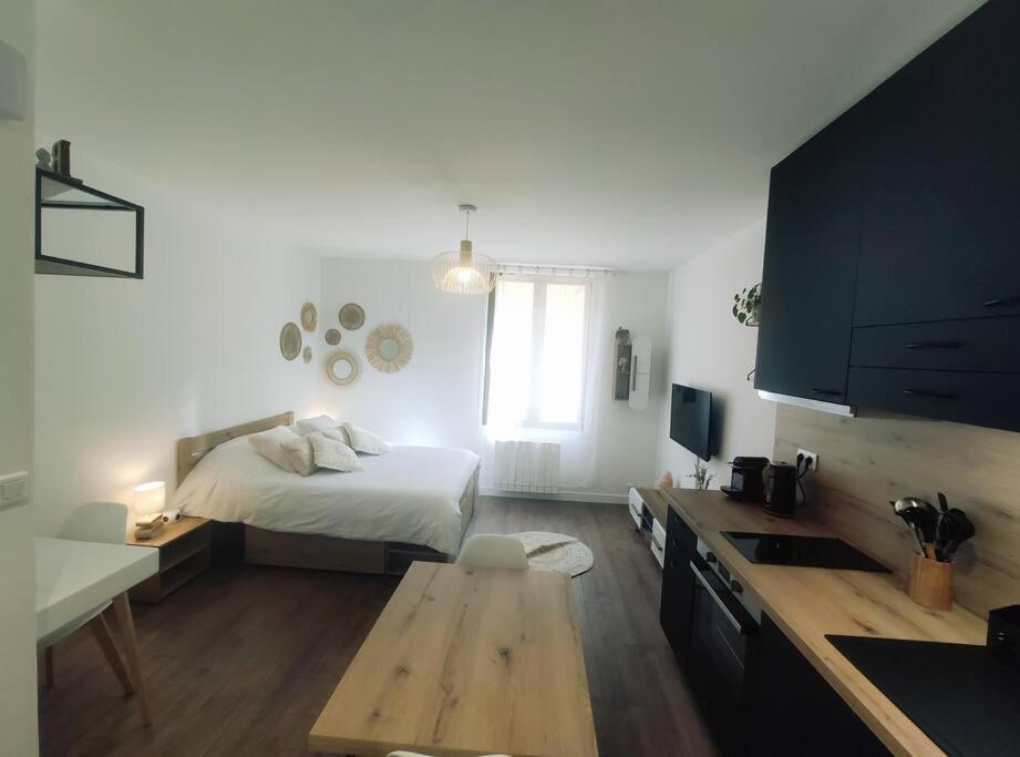 Annecy Vieille Ville, Superbe Appartement Au Calme Buitenkant foto